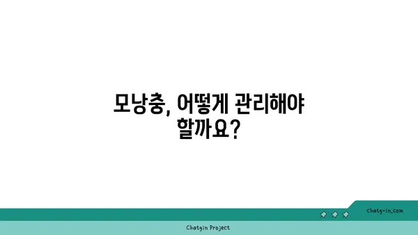 모낭충, 제대로 알고 관리하기| 증상, 원인, 치료 및 예방 가이드 | 피부 트러블, 각질, 가려움, 모낭충 치료, 모낭충 예방