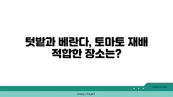 토마토 재배 가이드| 씨앗부터 수확까지 완벽하게 | 토마토, 재배, 텃밭, 베란다, 팁, 정보