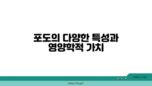 포도의 놀라운 효능| 특성과 영양학적 가치 | 건강, 항산화, 면역력, 다이어트