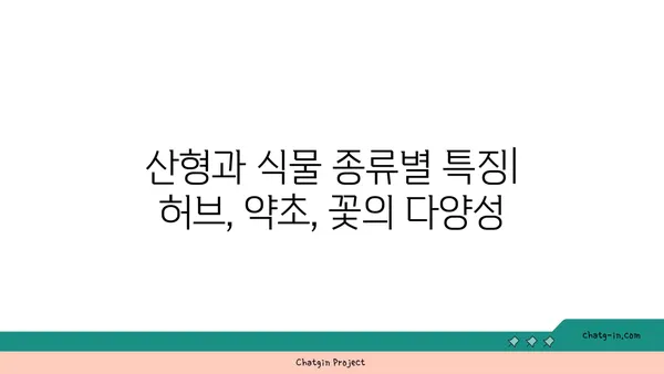 산형과 식물의 매력| 종류별 특징과 재배 가이드 | 산형과 식물, 허브, 약초, 꽃, 재배 정보