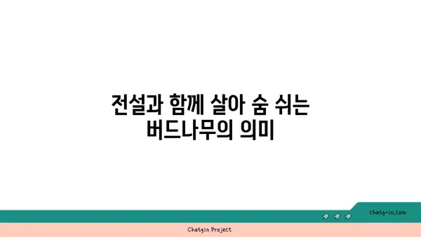 버드나무의 매력| 잎, 가지, 뿌리의 아름다움과 의미 | 나무, 자연, 풍경, 전설