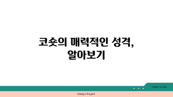 코리안 숏헤어 완벽 가이드| 성격, 건강, 털 관리, 입양 정보 총정리 | 고양이, 품종, 분양, 특징