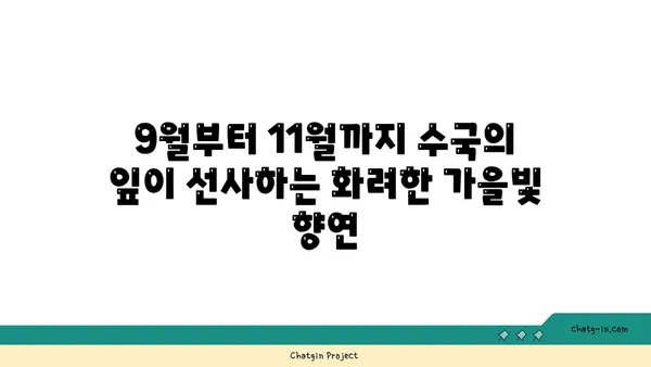 수국의 잎에서 가을 색상 변화 감상하기| 9월부터 11월까지의 매혹적인 변신 | 가을, 단풍, 수국, 정원, 풍경