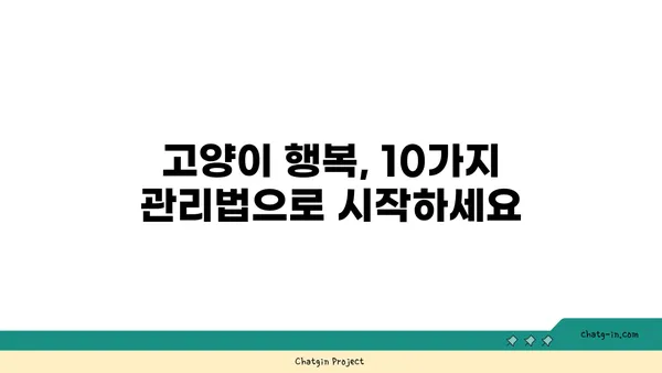 고양이와 행복하게 살아가는 10가지 관리법 | 고양이 키우기, 고양이 관리, 반려묘 팁