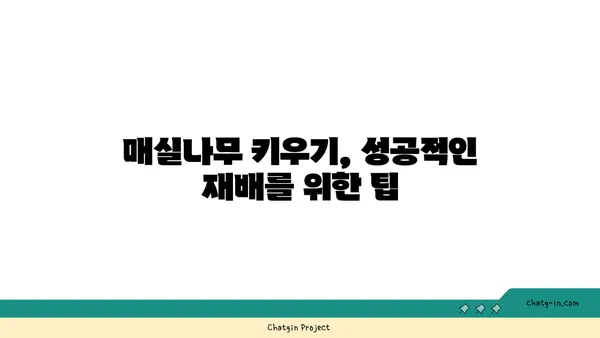 매실나무 키우기 완벽 가이드| 심는 시기부터 수확까지 | 매실나무 재배, 매실나무 관리, 매실 수확