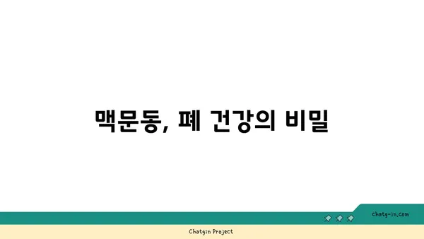 맥문동으로 건강한 폐, 되찾는 방법| 호흡기 건강 증진 가이드 | 맥문동 효능, 폐 건강, 천식, 기관지염, 호흡기 질환