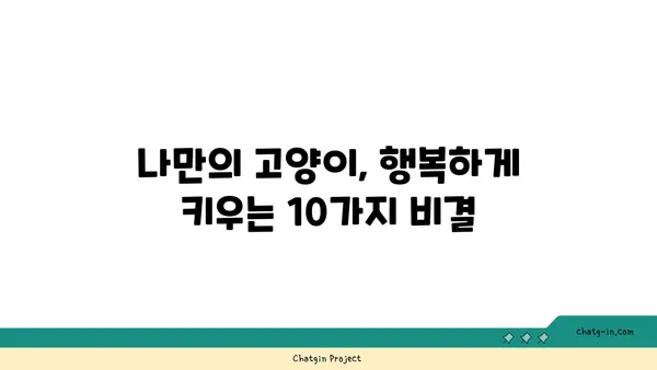 고양이와 행복하게 살아가는 10가지 관리법 | 고양이 키우기, 고양이 관리, 반려묘 팁