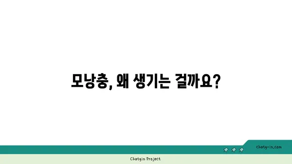 모낭충, 제대로 알고 관리하기| 증상, 원인, 치료 및 예방 가이드 | 피부 트러블, 각질, 가려움, 모낭충 치료, 모낭충 예방