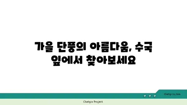 수국의 잎에서 가을 색상 변화 감상하기| 9월부터 11월까지의 매혹적인 변신 | 가을, 단풍, 수국, 정원, 풍경