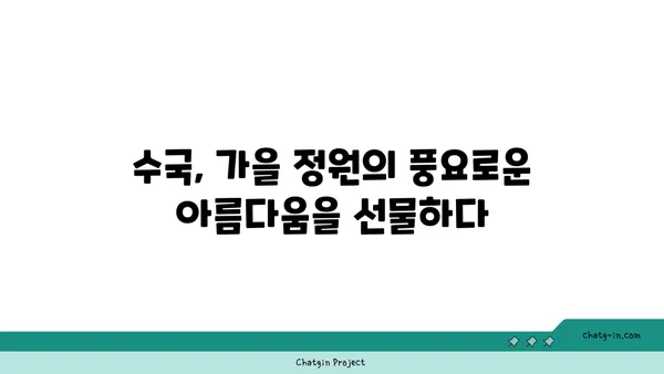 수국 신화와 전설| 가을 정원의 신비를 풀어내다 | 수국 꽃말, 전설 이야기, 가을 정원