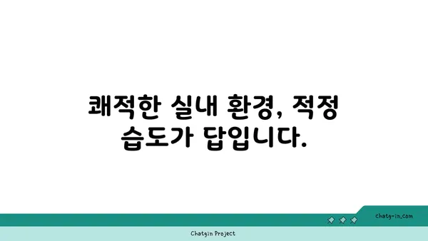 편안함의 온실| 최적의 상대 습도가 인간의 안녕에 미치는 영향 | 습도, 건강, 실내 환경, 쾌적함