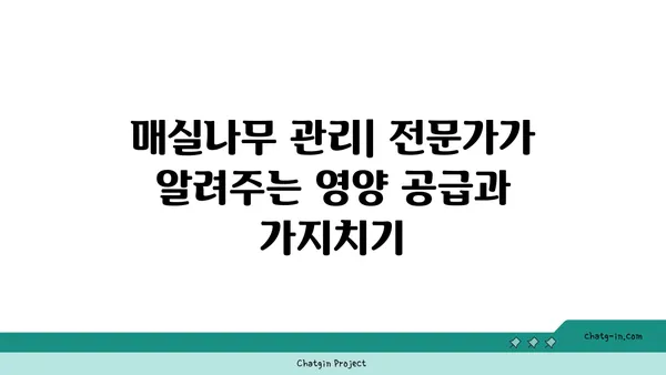 매실나무 키우기 완벽 가이드| 심는 시기부터 수확까지 | 매실나무 재배, 매실나무 관리, 매실 수확