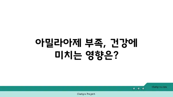 아밀라아제의 모든 것| 작용 원리부터 건강까지 | 소화 효소, 췌장, 혈당, 건강 정보