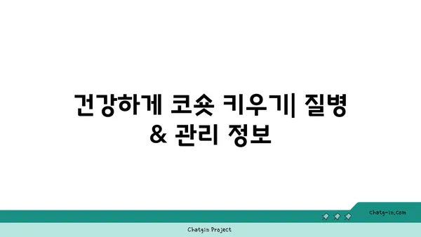 코리안 숏헤어 완벽 가이드| 성격, 건강, 털 관리, 입양 정보 총정리 | 고양이, 품종, 분양, 특징