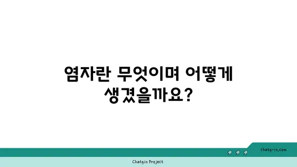 염자| 알아야 할 모든 것 | 염자, 염자정보, 염자 종류, 염자 효능, 염자 활용법