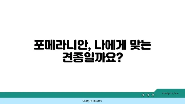 포메라니안 입양 가이드| 건강하고 행복한 삶을 위한 완벽한 준비 | 포메라니안 분양, 포메라니안 키우기, 강아지 입양