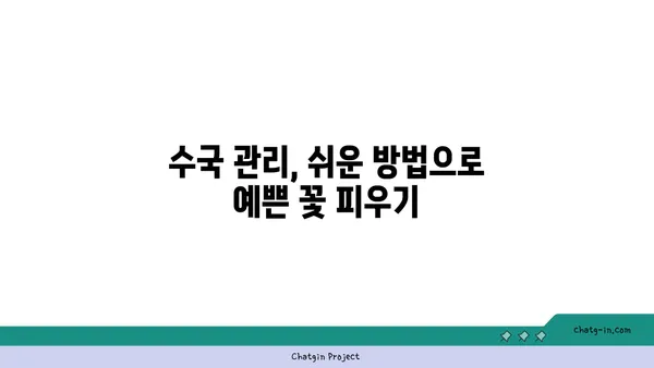 끊임없이 피는 수국, 비밀은 바로 이것! | 수국 꽃 피우기, 수국 관리 팁, 수국 재배