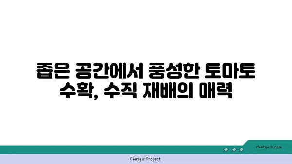 수직 재배 토마토| 공간 절약 & 수확량 증가의 비밀 | 토마토 재배, 수직 농업, 베란다 텃밭