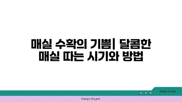 매실나무 키우기 완벽 가이드| 심는 시기부터 수확까지 | 매실나무 재배, 매실나무 관리, 매실 수확