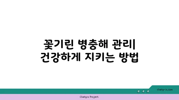 꽃기린 키우기 완벽 가이드 | 꽃기린 종류, 물주기, 번식, 병충해 관리