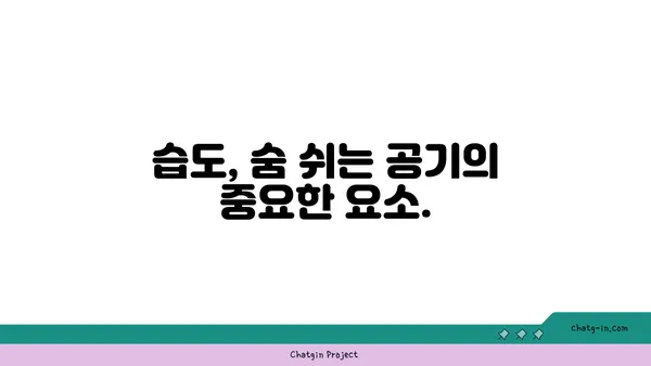 편안함의 온실| 최적의 상대 습도가 인간의 안녕에 미치는 영향 | 습도, 건강, 실내 환경, 쾌적함