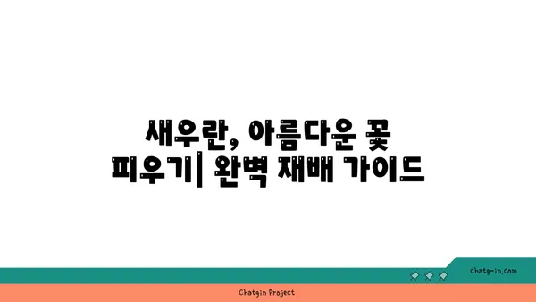 새우란 재배, 성공적인 개화를 위한 완벽 가이드 | 새우란 키우기, 새우란 종류, 새우란 번식