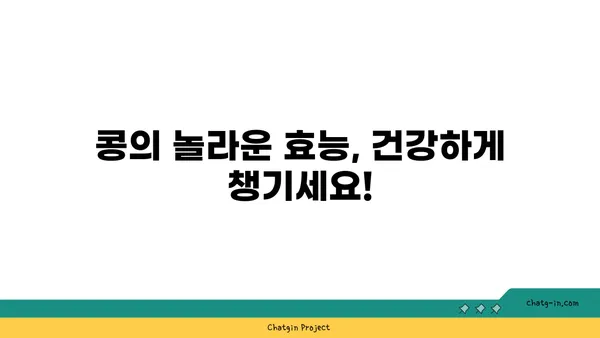 콩, 어떻게 먹어야 건강할까요? | 콩 효능, 콩 요리 레시피, 콩 종류, 콩 섭취 방법