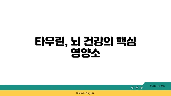 타우린의 놀라운 뇌 건강 효과| 기억력 향상, 집중력 증진, 스트레스 완화 | 타우린, 뇌 건강, 기억력, 집중력, 스트레스