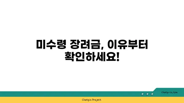 근로장려금 못 받았다면? 꼭 확인해야 할 미수령 이유와 해결 방법 | 장려금, 신청, 미지급, 환급