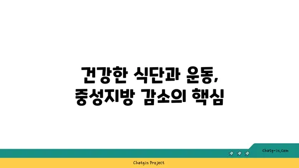 체중 감량이 중성지방 수치에 미치는 영향| 건강한 변화를 위한 가이드 | 체중 감량, 중성지방, 건강 관리, 팁