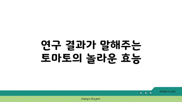 토마토의 놀라운 암 예방 효과| 연구 결과와 섭취 방법 | 건강, 항암 식품, 식단