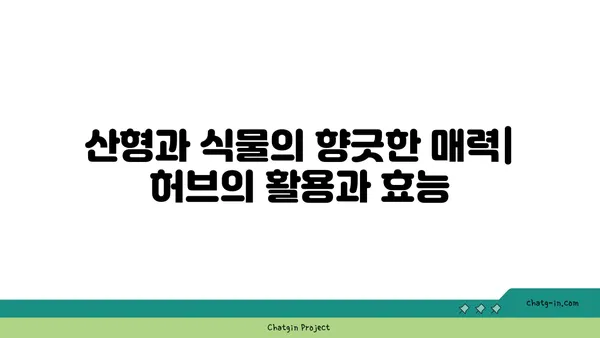 산형과 식물의 매력| 종류별 특징과 재배 가이드 | 산형과 식물, 허브, 약초, 꽃, 재배 정보