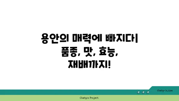 용안| 품종별 특징과 재배 가이드 | 과일, 맛, 효능, 재배 방법, 용안 나무