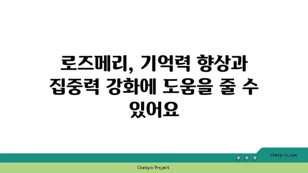 로즈메리의 놀라운 효능 7가지 | 허브, 건강, 요리, 효능, 장점