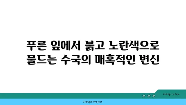 수국의 잎에서 가을 색상 변화 감상하기| 9월부터 11월까지의 매혹적인 변신 | 가을, 단풍, 수국, 정원, 풍경