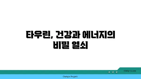 타우린| 건강과 에너지의 핵심, 그 모든 것을 파헤쳐 보세요! | 타우린 효능, 부족 증상, 섭취 방법, 건강 정보