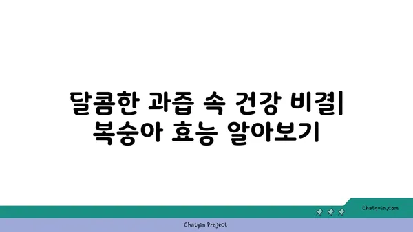 복숭아의 맛있는 비밀| 건강과 즐거움을 위한 과일 | 복숭아 효능, 복숭아 종류, 복숭아 레시피