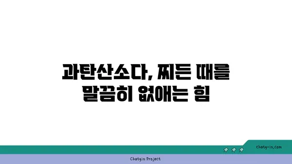 과탄산소다의 놀라운 힘! 얼룩 제거, 이젠 걱정 끝 | 세탁, 청소, 꿀팁, 효과적인 활용법