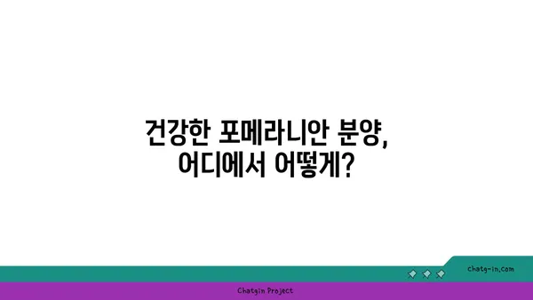 포메라니안 입양 가이드| 건강하고 행복한 삶을 위한 완벽한 준비 | 포메라니안 분양, 포메라니안 키우기, 강아지 입양