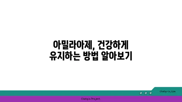 아밀라아제의 모든 것| 작용 원리부터 건강까지 | 소화 효소, 췌장, 혈당, 건강 정보