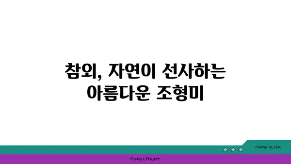 참외의 미적 매력| 자연이 선물한 달콤한 예술 작품 | 참외 사진, 참외 그림, 참외 예술, 과일 미학