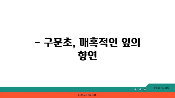 구문초의 매력에 빠지다| 종류별 특징과 관리법 | 구문초, 식물, 관리, 종류, 키우기