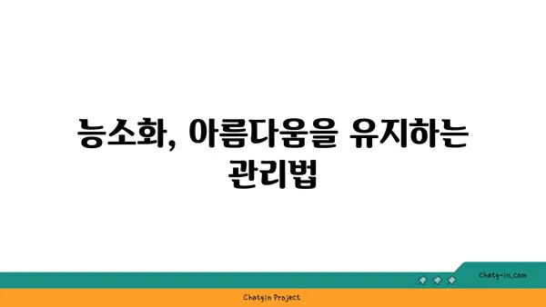 능소화 꽃 피는 시기와 관리법 | 능소화, 개화 시기, 재배, 관리, 정보