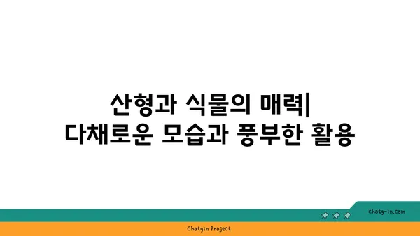 산형과 식물의 매력| 종류별 특징과 재배 가이드 | 산형과 식물, 허브, 약초, 꽃, 재배 정보