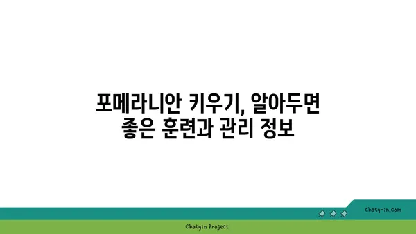 포메라니안 입양 가이드| 건강하고 행복한 삶을 위한 완벽한 준비 | 포메라니안 분양, 포메라니안 키우기, 강아지 입양