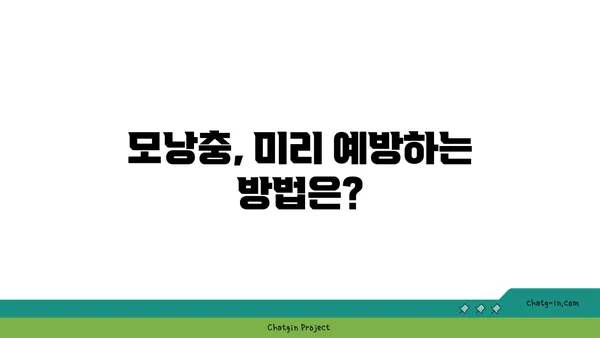 모낭충, 제대로 알고 관리하기| 증상, 원인, 치료 및 예방 가이드 | 피부 트러블, 각질, 가려움, 모낭충 치료, 모낭충 예방