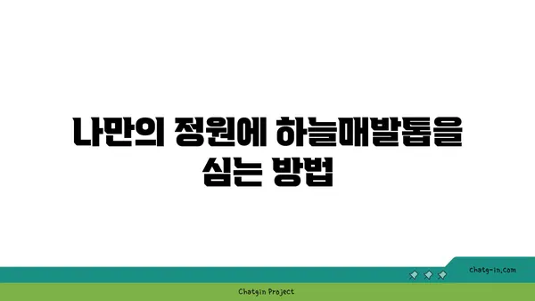 하늘매발톱의 매력에 빠지다| 꽃말과 재배 가이드 | 야생화, 매발톱, 식물 정보, 정원 꾸미기