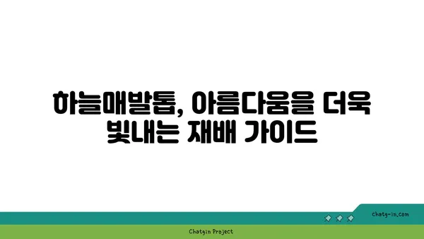 하늘매발톱의 매력에 빠지다| 꽃말과 재배 가이드 | 야생화, 매발톱, 식물 정보, 정원 꾸미기