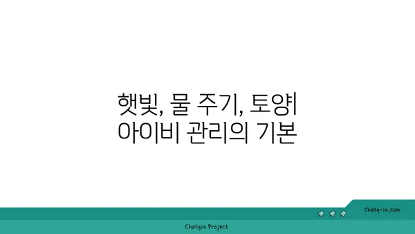 아이비 종류별 관리 가이드|  꽃 피우는 비법부터 월동까지 | 아이비, 식물 관리, 종류, 재배, 월동