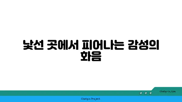 비파를 든 여행자| 음악과 세상을 잇는 한 음악가의 이야기 | 비파, 여행, 음악, 감성, 이야기